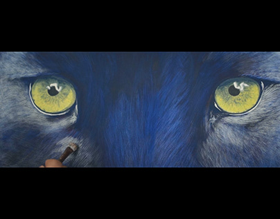 Video : Morgan Bouttier - Totem Animal