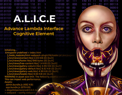 Infographic | ALICE Project