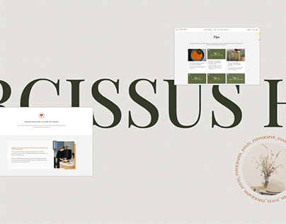 Narcissus Hub | Website