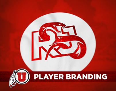 Player Brand/Logos