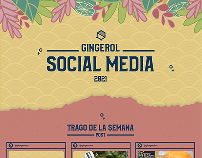 Social Media Strategy - Gingerol