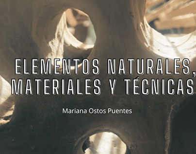 Elementos naturales, materiales y técnicas