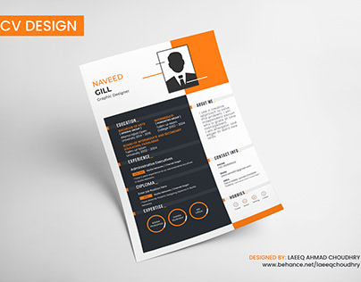 Cv Design For Client