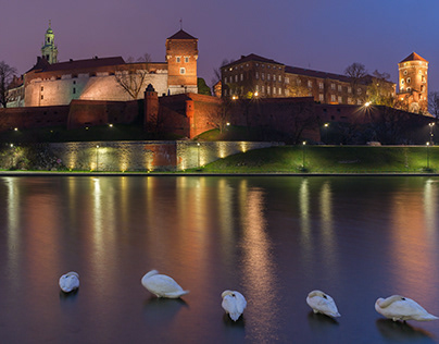 Night, castle and swans