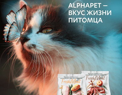 Brand positioning and slogan for a new brand Alphapet