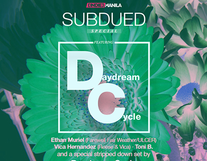 Subdued Special - Daydream Cycle