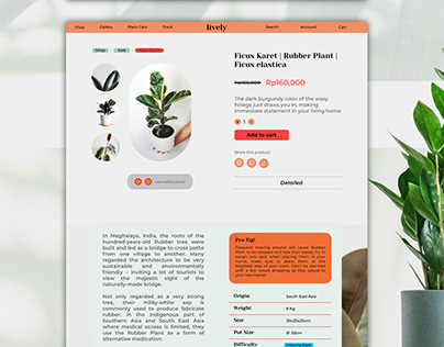 Lively Plants UI/UX Website Redesign