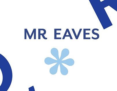 Mr Eaves Typeface