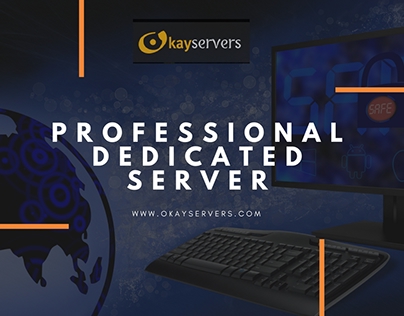 Professional Dedicated Server