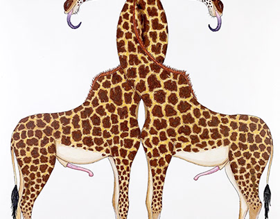queer-ass fauna: gay necking giraffes