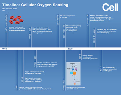 Timeline: Cellular Oxygen Sensing