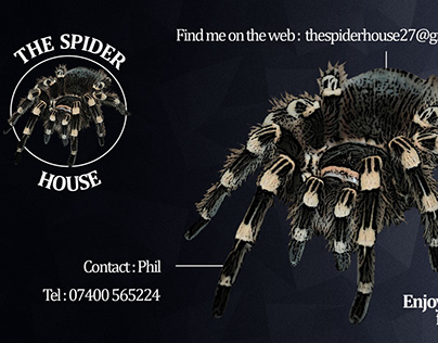 ‘The Spider House’ Business Card