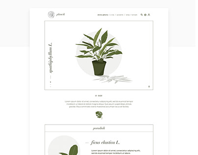 Plancik - www & plant illustrations