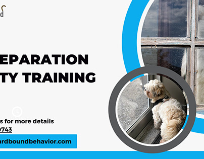 Dog Separation Anxiety Training | Homeward Bound