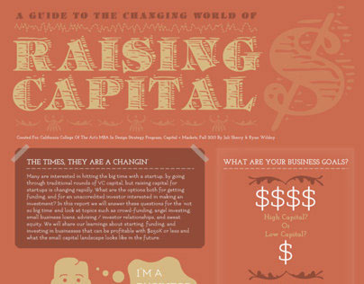 Raising Capital Infographic