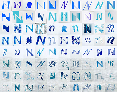 100 Explorations of the letter N