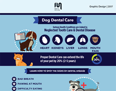 Dog Dental Care Infographic