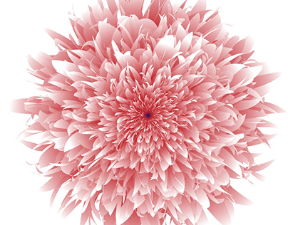 Illustraton || flower || blending tool