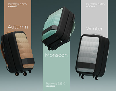 Travel/Luggage Bag Concept Design