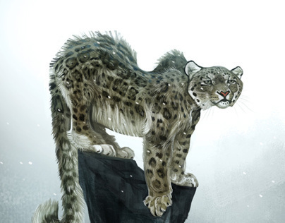 Watercolor painting of a snow leopard :: Behance