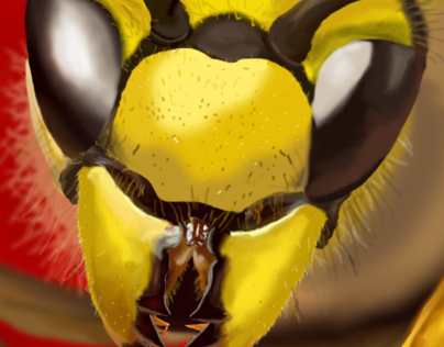 Killer Bee - Photoshop Painting