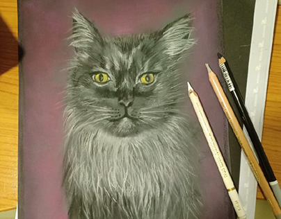 Grey cat in pastel ( Misho)