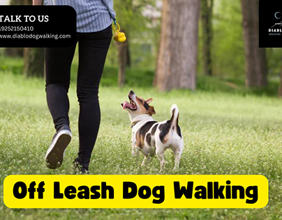 Off Leash Dog Walking by Diablo Dog Walking