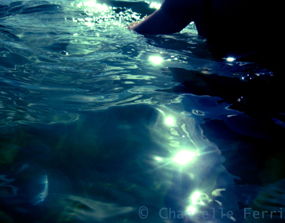 Fluidity (Underwater photography project)