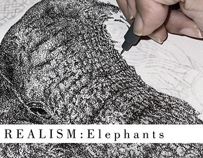 Realism: Elephants Project 1