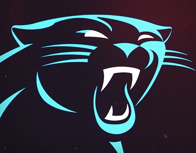 Carolina Panthers Work
