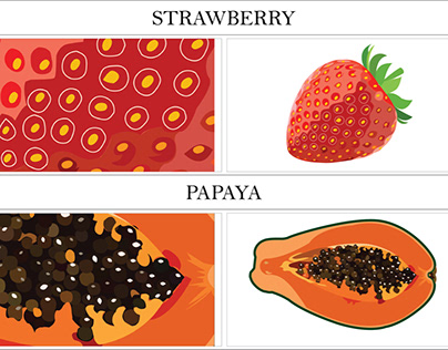 Detailed Illustration of Fruits - Pen Tool Exercise
