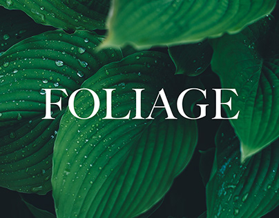 Foliage - logo