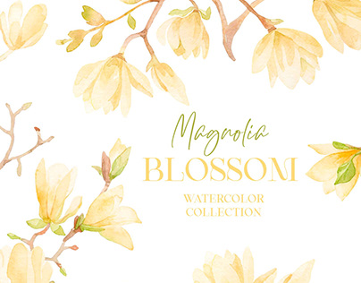 Magnolia blossom watercolor collection