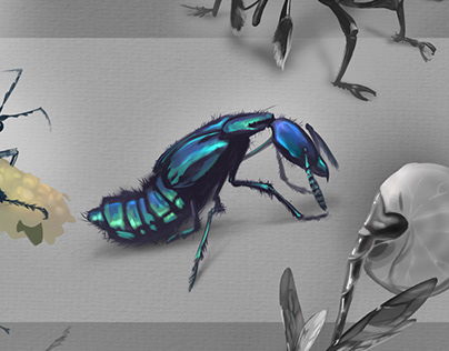 Project thumbnail - Insects