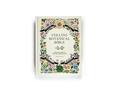 The Collins Bible Series