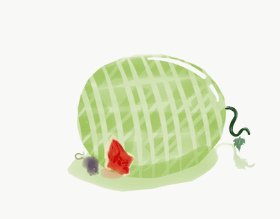 Mouse and melon