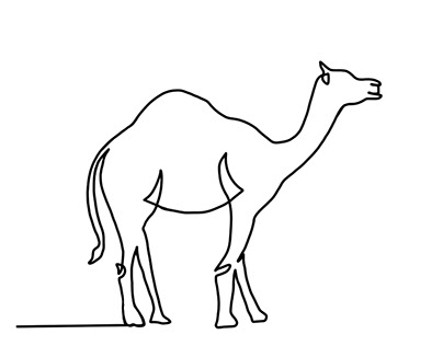 Logo, camel, the camel line