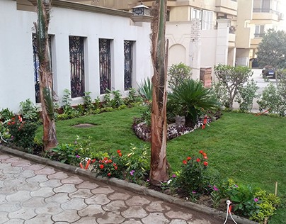 My Building Front Garden In Maadi Designed By Me