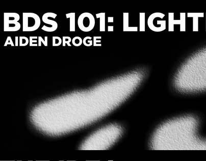 BDS 101: LIGHT FORM