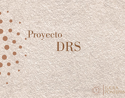 Proyecto DRS
