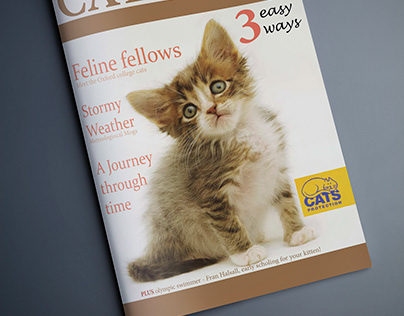 Cats Magazine Design