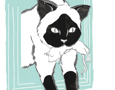Catty - book illustrations