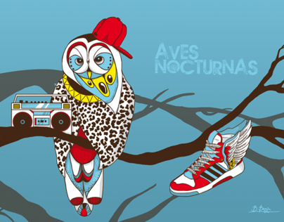 Aves Nocturnas
