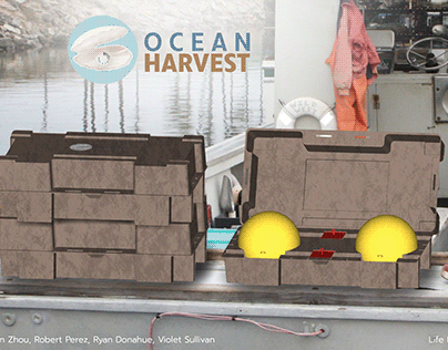 Ocean Harvest - Regenerative Ocean Farming