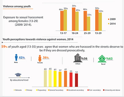violence against woman infographics