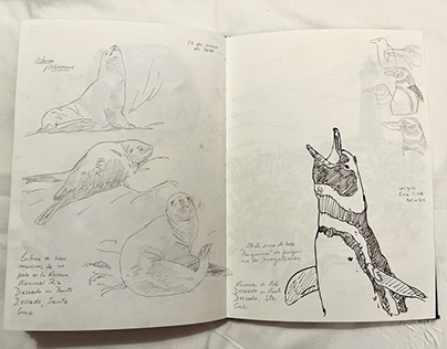 Cuaderno de campo. Field Sketchbook (Completo)