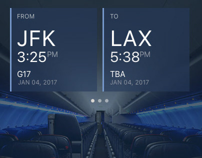 Delta Flight Attendant App