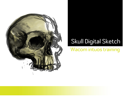 Skull digital sketch | Wacom intuos training.