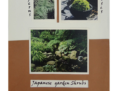 Japanese Garden Shrnbs