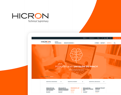 Hicron - website for integrator of IT systems